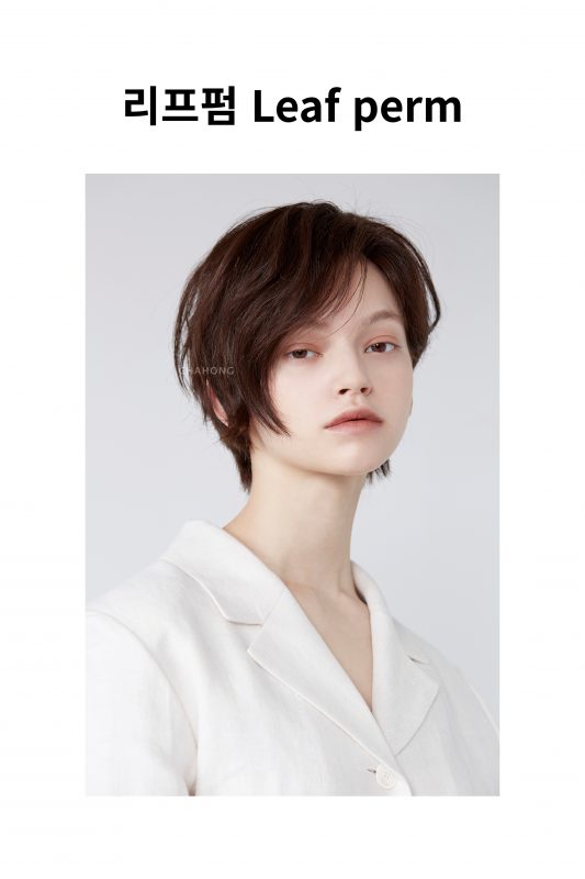 chahongsalon